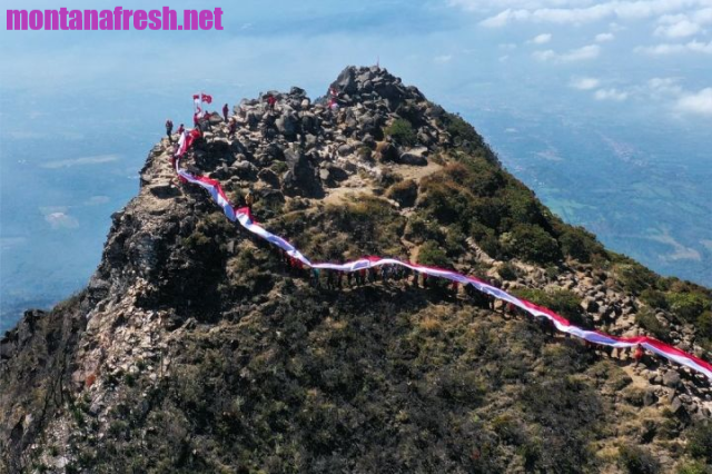 Kronologi 11 Pendaki Hilang Di Gunung Arjuno Dikaitkan Dengan Cerita Mistis Pasar Setan